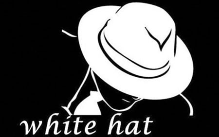 套用白帽技术优化3个月的新站心得分享